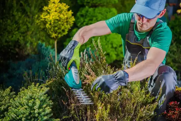 landscaping services Leesburg
